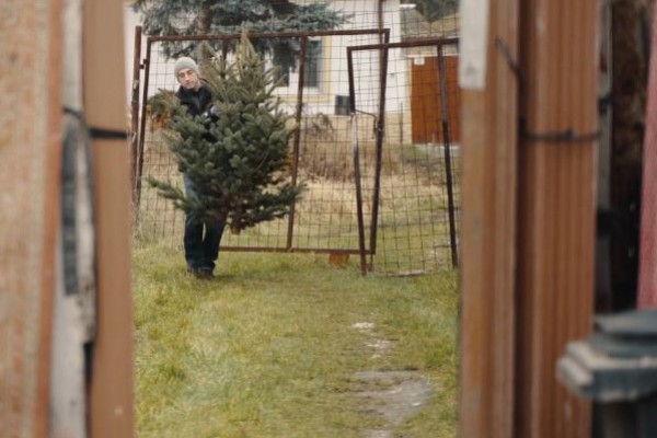 Karácsonyfákkal lepett meg 40 egri rászoruló családot az Egererdő Zrt. és az Eger Lions Club